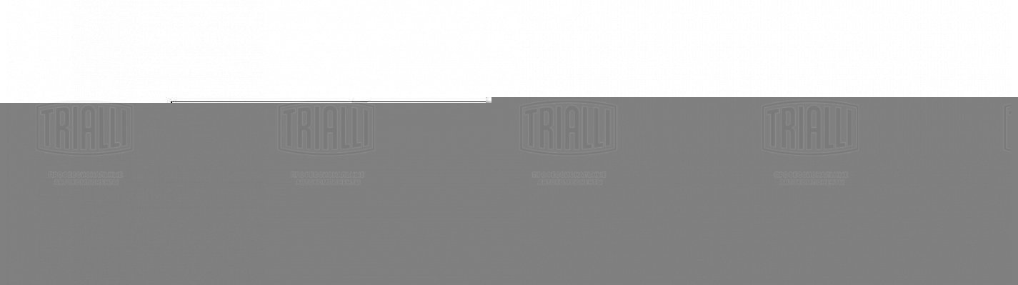 Амортизатор /м Scania F/K/N series (354/581 16x81 14x75 I/I) пер (AH 52009) TRIALLI