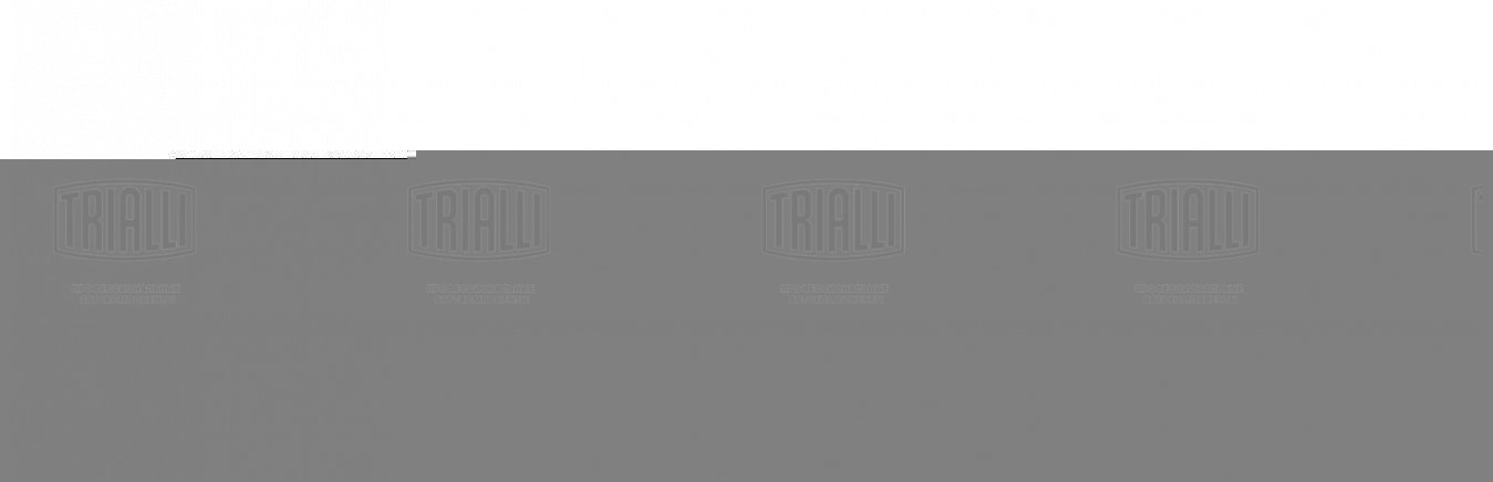 Амортизатор /м Volvo FH12 (93-)/FM (05-) (444/715 16х66 16х66 О/О) пер (AH 53005) TRIALLI