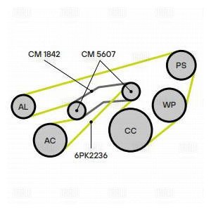 Ролик привод ремня /м VW Pointer/Golf BR (04-) 16i/18i (с натяж мех) двойной (CM 1842) TRIALLI